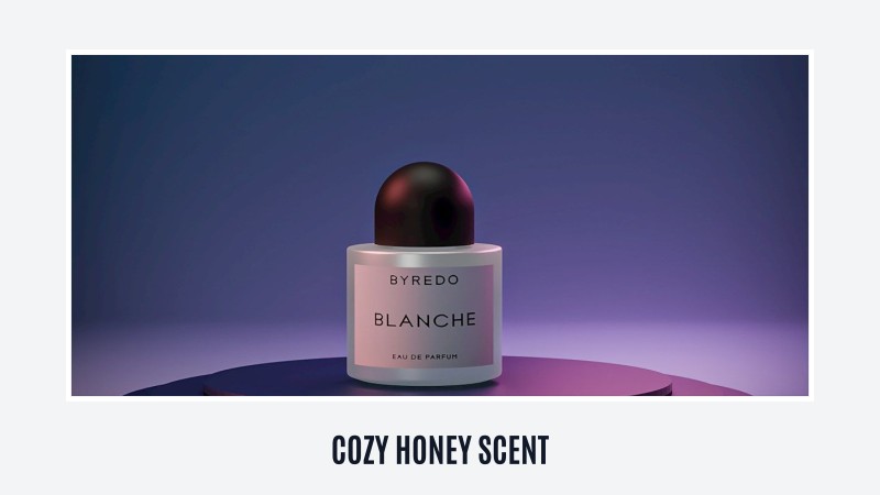 cozy honey scent