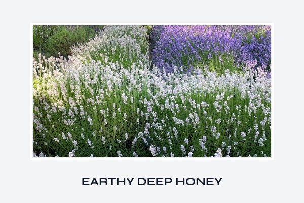 earthy deep honey