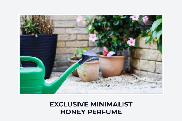 exclusive minimalist honey perfume