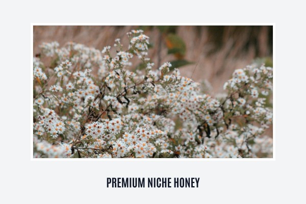 premium niche honey