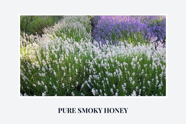 pure smoky honey