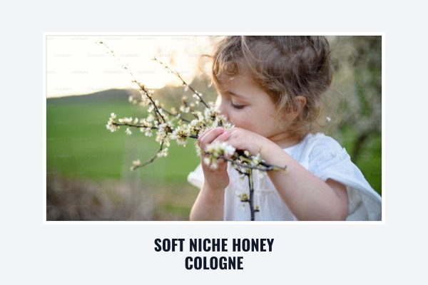 soft niche honey cologne