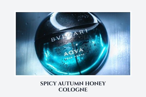 spicy autumn honey cologne